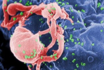 Vi rút HIV ngày càng lành tính!