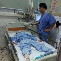 Viêm não Nhật Bản B: Sau sốt nửa ngày có thể hôn mê