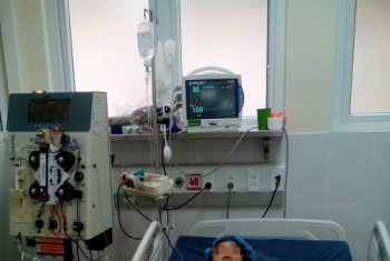 Bé gái bị ong vò vẽ đốt gần 170 mũi gây suy gan