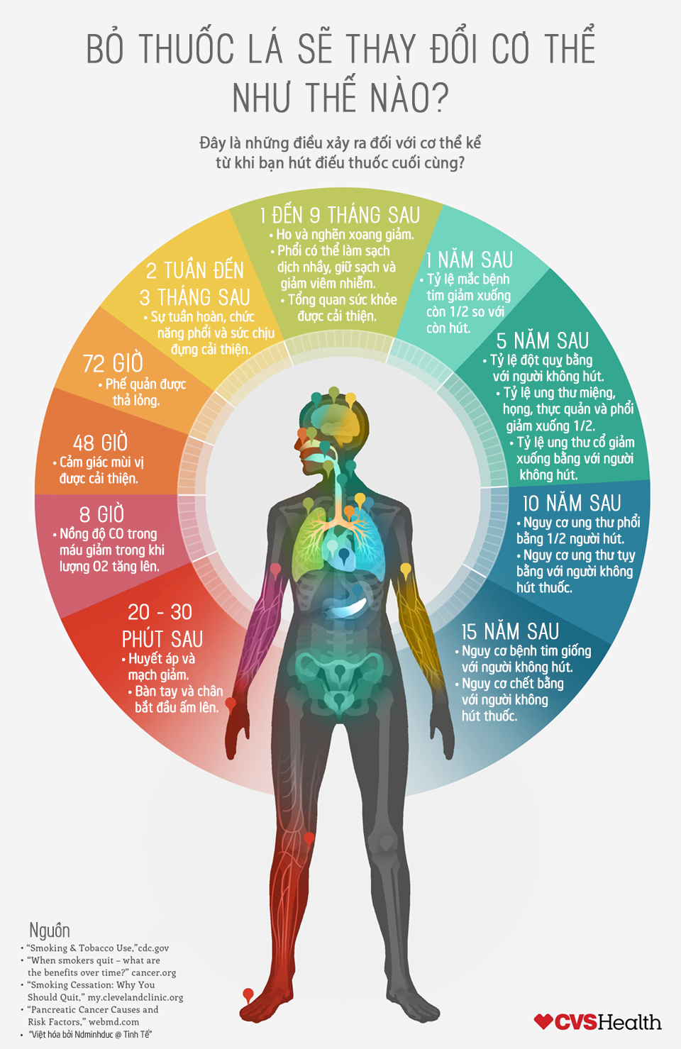 tac dong bo thuoc la