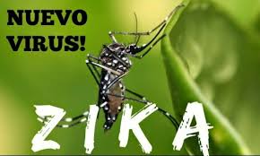 Bản đồ bệnh Zika đang lan truyền ở Việt Nam
