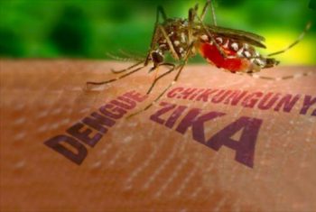 Hai ca nhiễm vi rút Zika đầu tiên tại Việt Nam