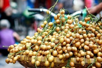 Công dụng tuyệt vời của quất hồng bì khi bạn ăn đúng cách