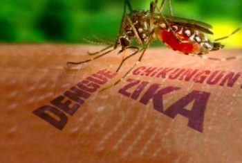 Phổ cập cách phòng ngừa Zika hiệu quả, an toàn