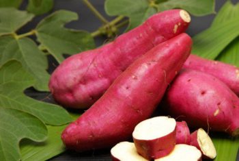 Khoai lang chữa tiểu đường hiệu quả