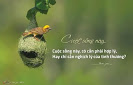 Đau lòng vì sự “đau lòng” của bà Giám đốc sở Y tế Đà Nẵng!!