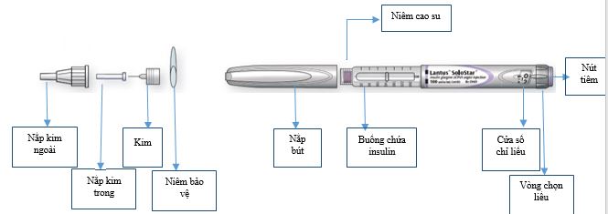 Cấu tạo bút tiêm insulin: Giải pháp tối ưu cho bệnh nhân tiểu đường