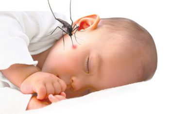 SỐT XUẤT HUYẾT – nguy cơ bùng phát thời điểm giao mùa.