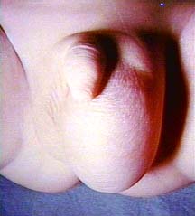 image002