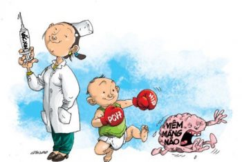 Chớm hè, cần đề phòng bệnh viêm não Nhật Bản