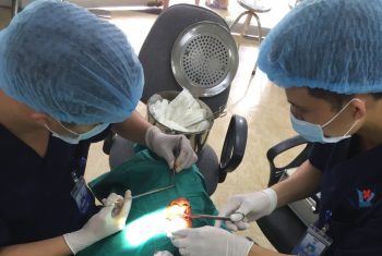 Vết thương phức tạp vùng hàm mặt do chó cắn.