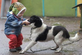 Những mối nguy hiểm cần biết trước khi quyết định nuôi thú cưng