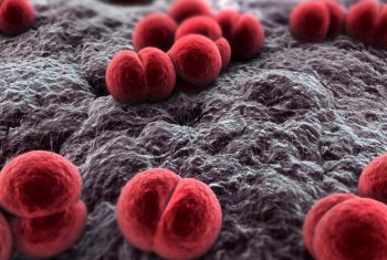 Những điều cần biết về viêm màng não mô cầu.