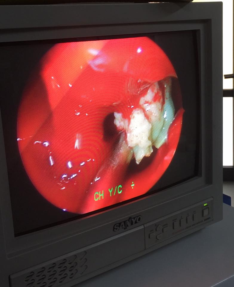 37733362 1303445896459529 1892768967538245632 n