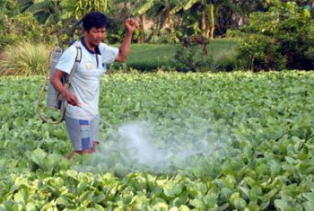 Viêm loét miệng, lưỡi sau khi đi phun thuốc diệt cỏ.