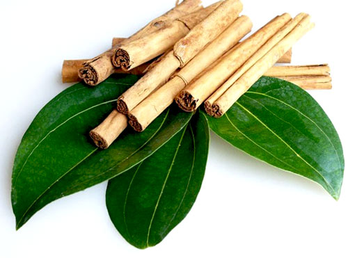 Cinnamon zeylanicum QUE