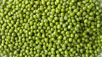 Đậu xanh giúp thanh nhiệt, giải độc