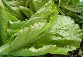 Cải canh chữa nhiều bệnh.