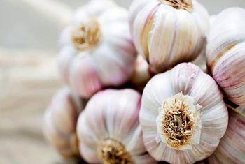 Tỏi và những lợi ích cho sức khỏe.