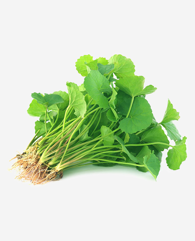 rau ma