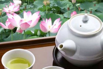 8 bài trà dược hỗ trợ trị tăng huyết áp