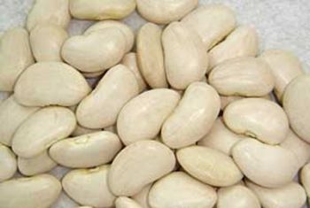 Đậu ván trắng bổ tỳ vị, giải phiền khát…