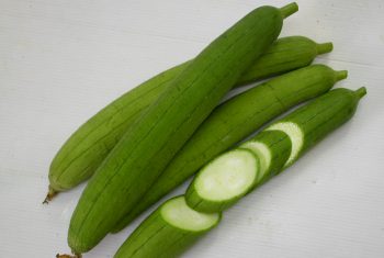 Thuốc và món ăn hỗ trợ trị lao phổi.