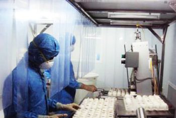 Tổ chức Y tế thế giới đặt hàng vắc xin cúm mùa của Việt Nam