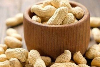 Hạt lạc – Bổ huyết, chống viêm