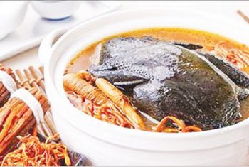 Dược thiện cho bệnh nhân sau phẫu thuật