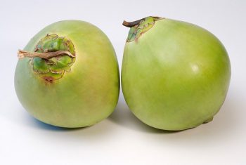 Ăn quả dừa hơi lâu