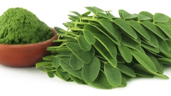 Chùm ngây giàu dinh dưỡng và dược tính