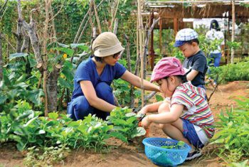 DẠY CON TỪ GỐC RỄ