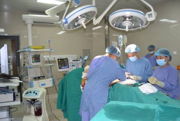 Máy bóc vỏ gỗ hay bóc da người?