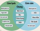 Hướng dẫn mới nhất bằng hình ảnh giúp phân biệt cảm lạnh với cúm?