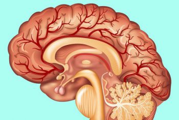 Ai quan tâm đến sức khoẻ tim, gan, phổi, thận cần phải biết điều này