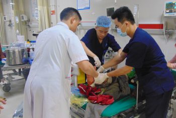 Máy cắt cỏ: nỗi khiếp sợ của người nông dân.