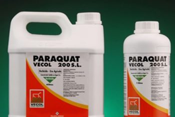 Ác mộng thuốc diệt cỏ Paraquat