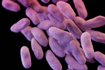 Nhà khoa học Thụy Điển cảnh báo dịch siêu khuẩn tại bệnh viện Việt Nam