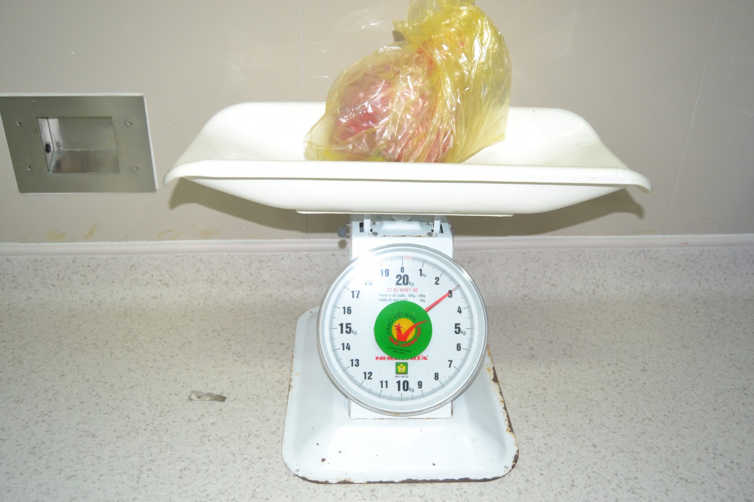 DSC 0415
