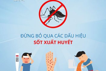 Tháng 11 là đỉnh dịch của sốt xuất huyết, làm sao để không mắc bệnh?