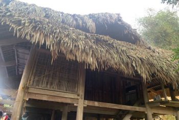 Nhiều đồng nghiệp ngành y kêu gọi ủng hộ gia đình nữ bác sĩ nội trú tử vong do TNGT
