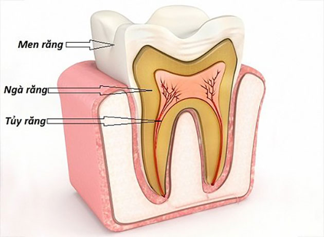 Bị sún răng ở trẻ nguyên nhân cách điều trị và cách phòng ngừa hiệu quả
