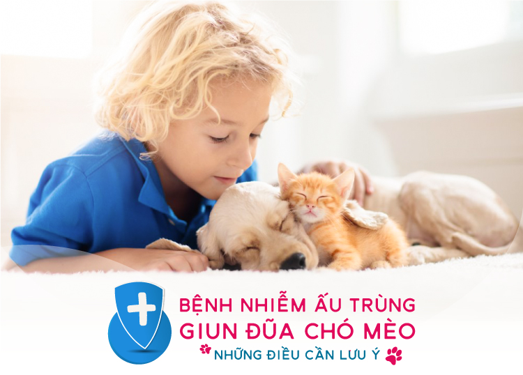 BỆNH GIUN ĐŨA CHÓ (TOXOCARA CANIS): DẤU HIỆU, CHẨN ĐOÁN & ĐIỀU TRỊ