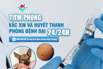 Tiêm phòng vắc xin và huyết thanh PHÒNG BỆNH DẠI 24/24 tại Bệnh viện Đa khoa Hùng Vương và các phòng khám vệ tinh