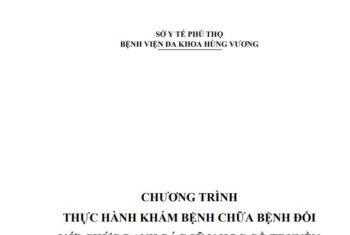 Ban hành chương trình thực hành khám bệnh chữa bệnh đối với chức danh Bác sỹ Y học cổ truyền