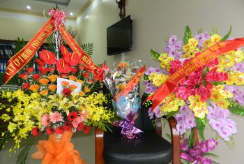 HV-Lãnh đạo các đơn vị doanh nghiệp đối tác, UBND xã đến thăm BVHV nhân ngày 27/2/2014