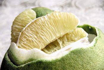 Bưởi – Vị thuốc trị ho