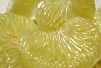 Bưởi – Vị thuốc trị ho