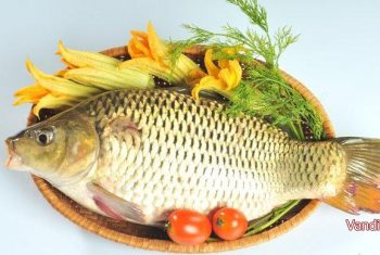 Kinh nghiệm dân gian phòng chữa bệnh từ cá chép